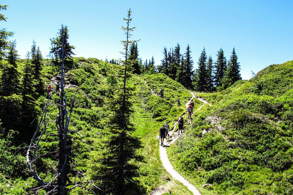 76 Aufstieg zum Fulseck.jpg